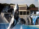 Seaworld SHAMU