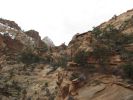 Canyon Overlook Trail Zion N.P.