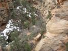 Canyon Overlook Trail Zion N.P.
