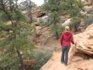 Canyon Overlook Trail Zion N.P.