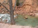 Lower Emerald Pools Zion N.P.