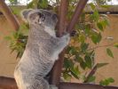 San Diego Zoo