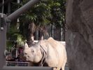 San Diego Zoo
