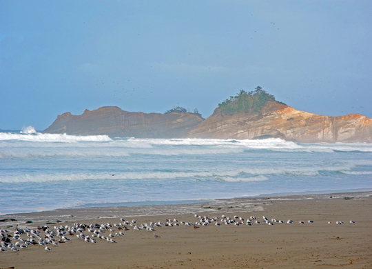 Pacific City

