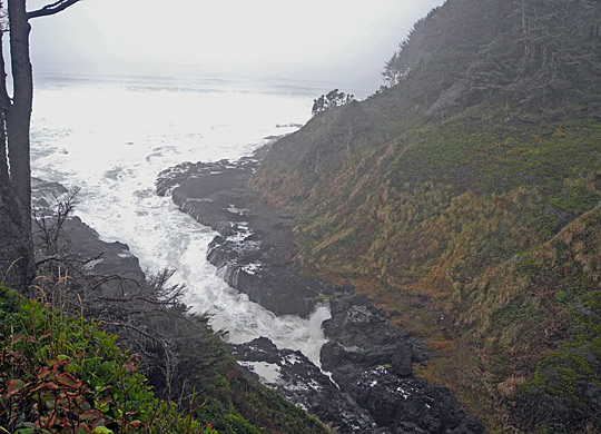 Cape Perpetua
