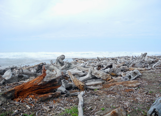 ConquilleBeach
