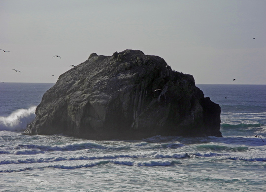 Face Rock
