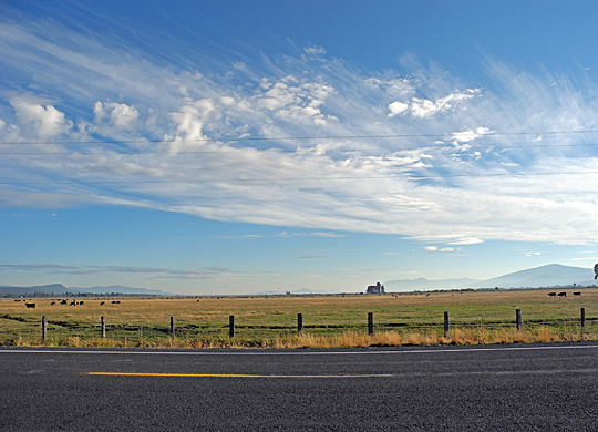 EbeneOregon
