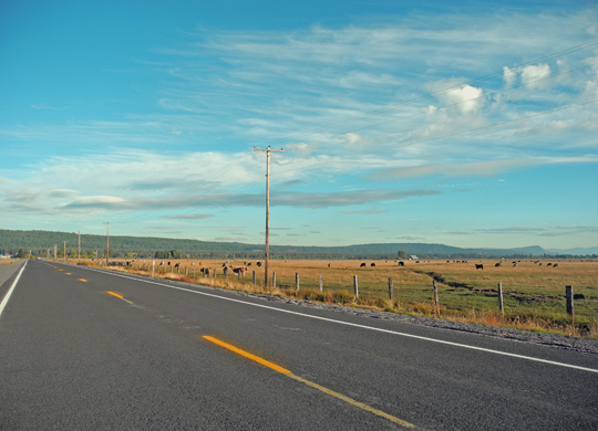 EbeneOregon2
