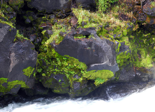 AmRougeGorge3
