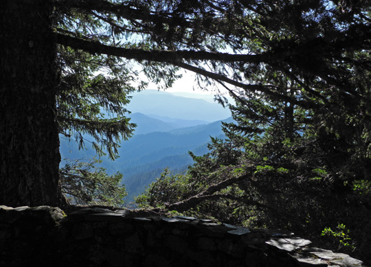 ShastaViewpoint2
