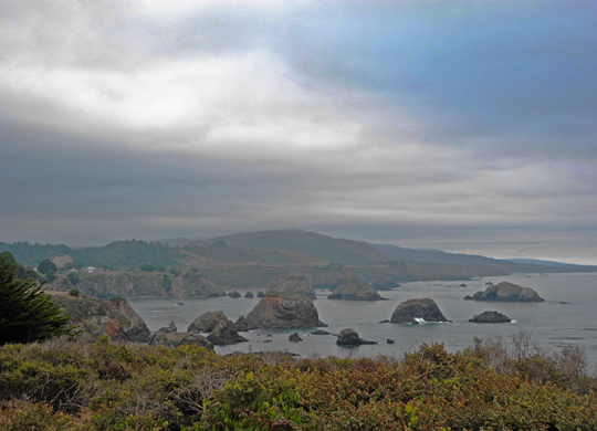 bMendocino1
