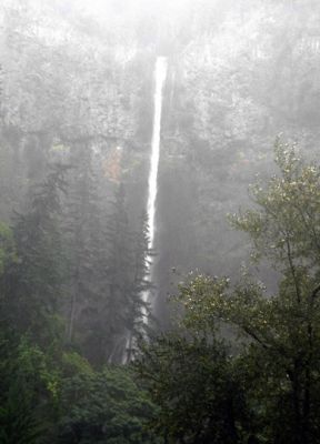 Multnomah
