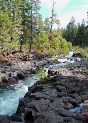 RougeGorge1
