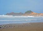 Pacific City