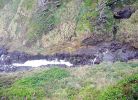 Cape Perpetua