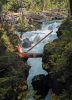 RougeGorge2