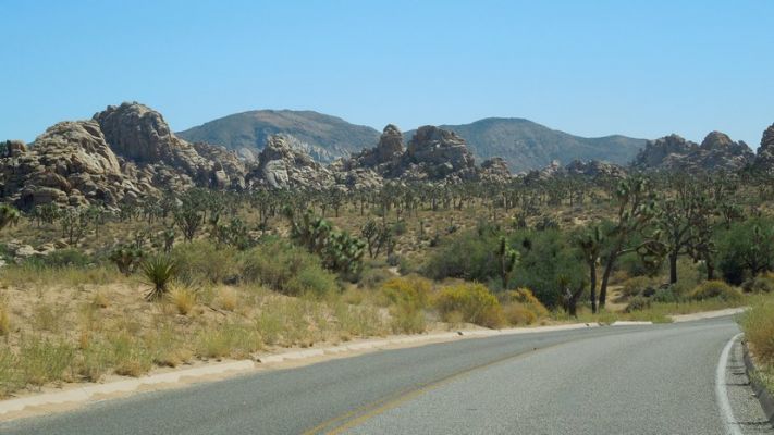 DSCN5861.JPG