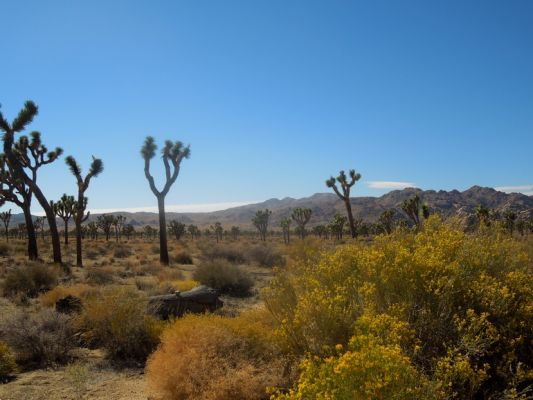 DSCN5979.JPG