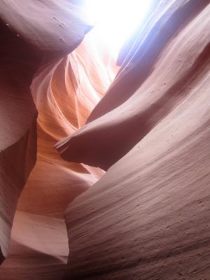 IMG_1315.JPG