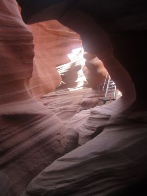 IMG_1335.JPG
