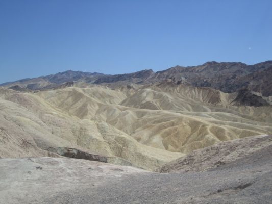 IMG_2205.JPG
