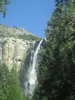 IMG_2435.JPG