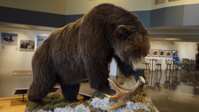 Grizzly
