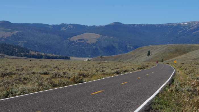 Lamar Valley
