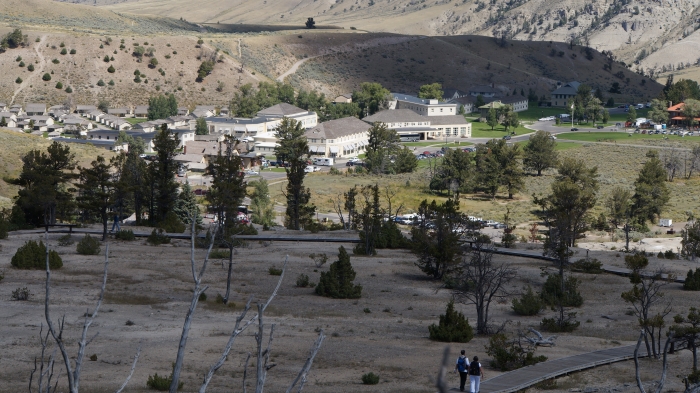 Mammoth Hot Springs
