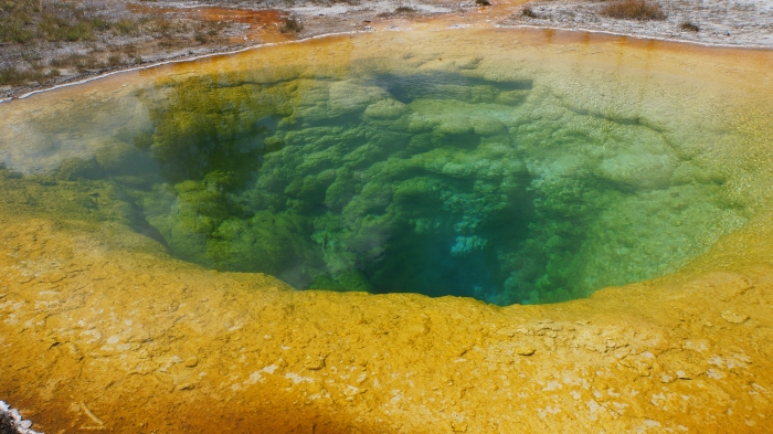 Morning Glory Pool
