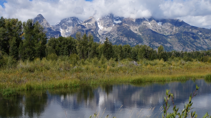 Schwabacher Landing
