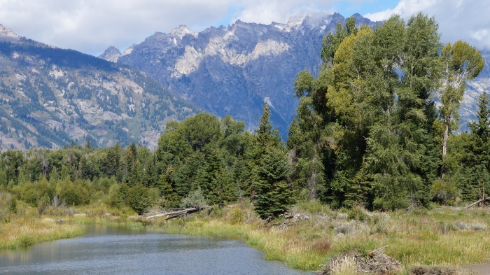 Schwabacher Landing
