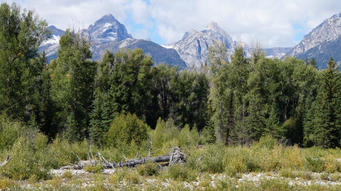 Schwabacher Landing
