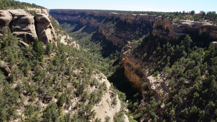 Mesa Verde
