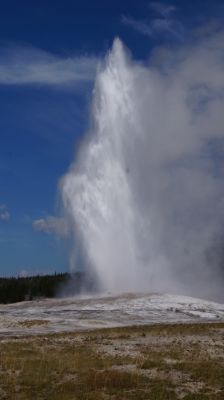 Old Faithful Geyser
