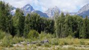 Schwabacher Landing