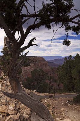 Grand Canyon 2
