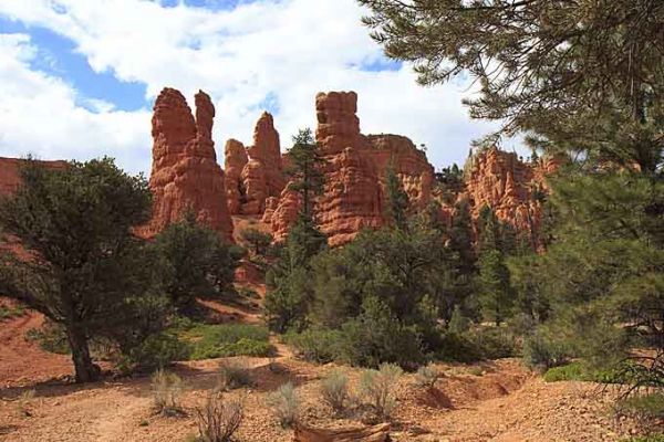Am Parkeingang des Bryce
