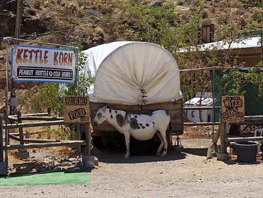 Oatman 2
