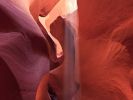 Antilope 5