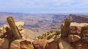 Desert View 1
