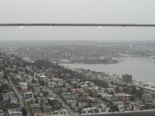 Seattle_Tag_1_051~0.JPG