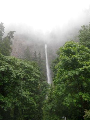 430.jpg