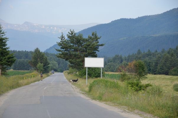 769_1.jpg