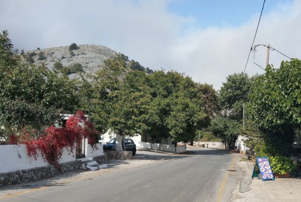 775.jpg