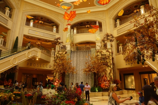DSC08787.JPG