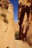 DSC08530.JPG