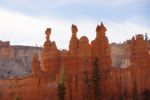 DSC08557.JPG