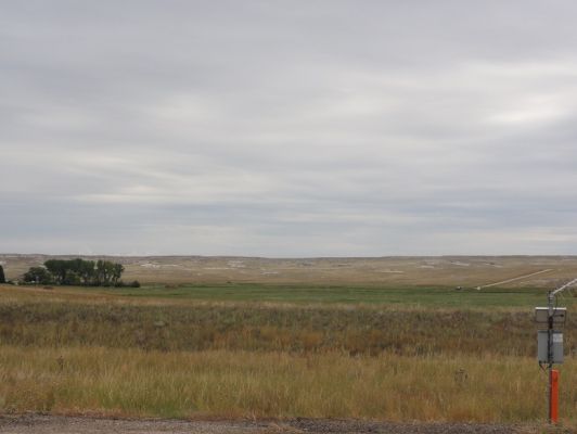 DSC02962.JPG